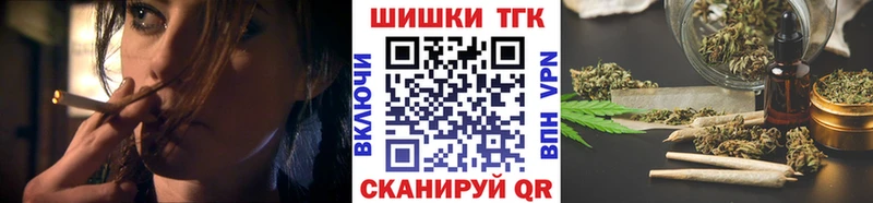Продажа наркотиков Кировск Амфетамин  А ПВП  ГАШИШ  ОМГ ОМГ ТОР  Мефедрон  КОКАИН  Марихуана 