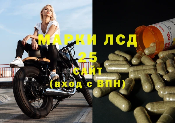 молекула духа Арсеньев
