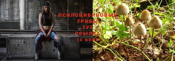молекула духа Арсеньев