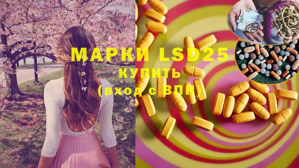 молекула духа Арсеньев
