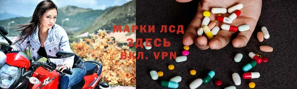 гидра Аркадак