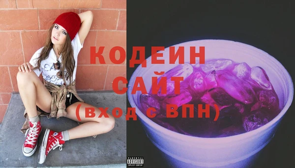 молекула духа Арсеньев