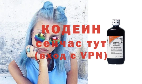 молекула духа Арсеньев