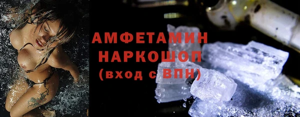 молекула духа Арсеньев