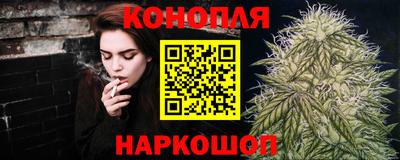 Альфа ПВП Краснознаменск