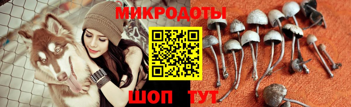 Кировск  Галлюциногенные грибы GOLDEN TEACHER  Вход с VPN 